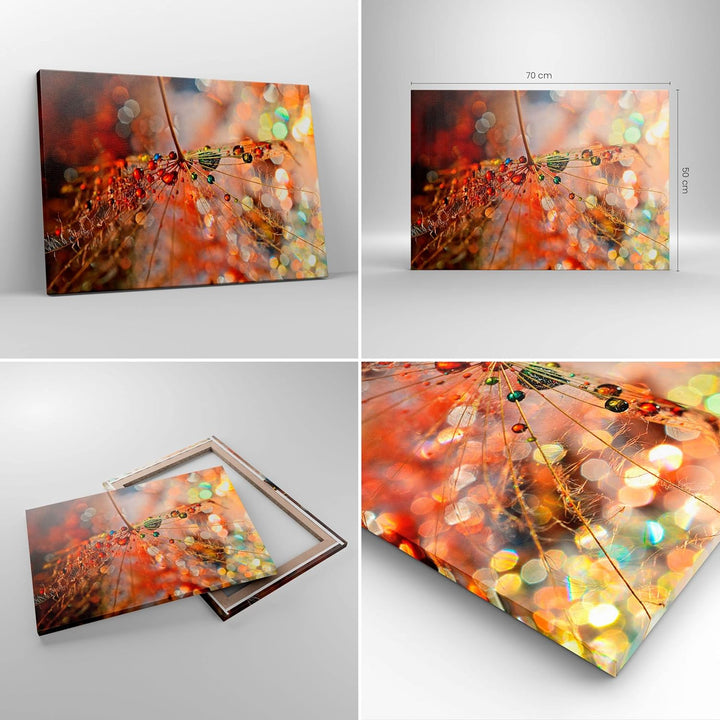 Bilder auf Leinwand Spinnennetz modern Leinwandbild mit Rahmen 70x50cm Wandbilder Dekoration Wohnzim