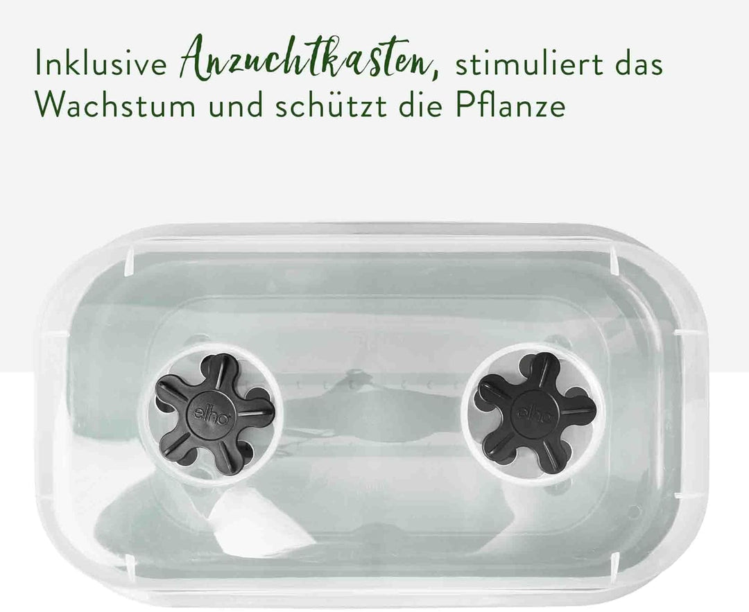 elho Green Basics Anzucht Schale Allin1 32 - Anzuchtset - 100% recyceltes Plastik - Ø 32.0 x H 13.2