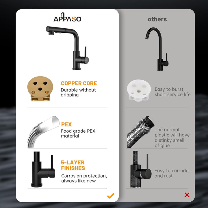 APPASO Wasserhahn Küche, Küchenarmatur mit Brause Ausziehbar für die Küche, Einhebel Ausziehbarer Sp