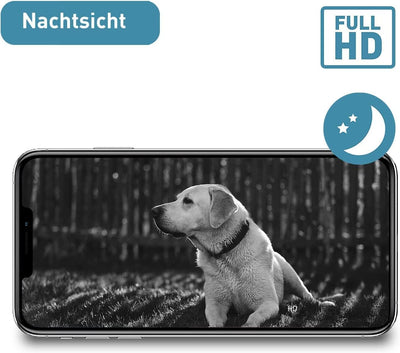 PetTec® Cam Free 2er Set - Wireless Haustierkamera Hundekamera mit App [OHNE ABO-Falle] - Katzen & H