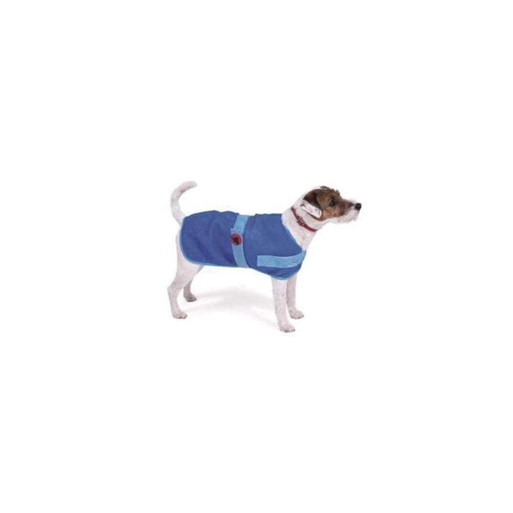 Petface Petface kühlender Sommer-Hundemantel, 50 cm blau 50 cm, blau 50 cm