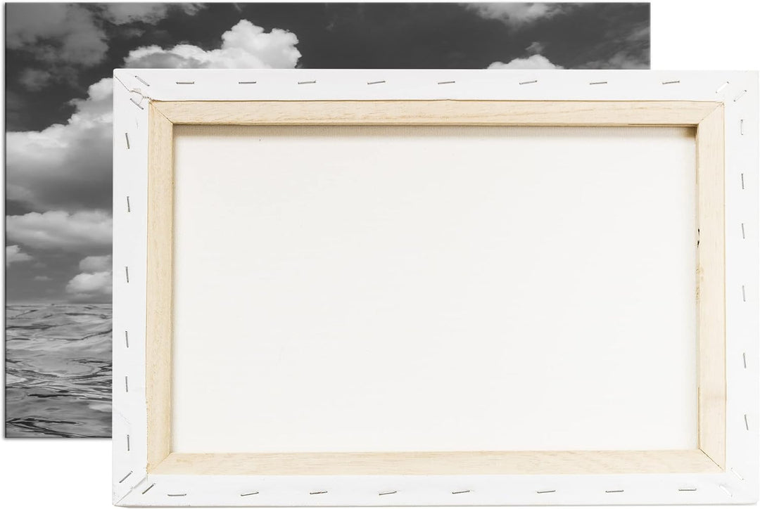 deyoli zauberhafter Delfin Effekt: Schwarz&Weiss Format: 80x60 als Leinwandbild, Motiv fertig gerahm