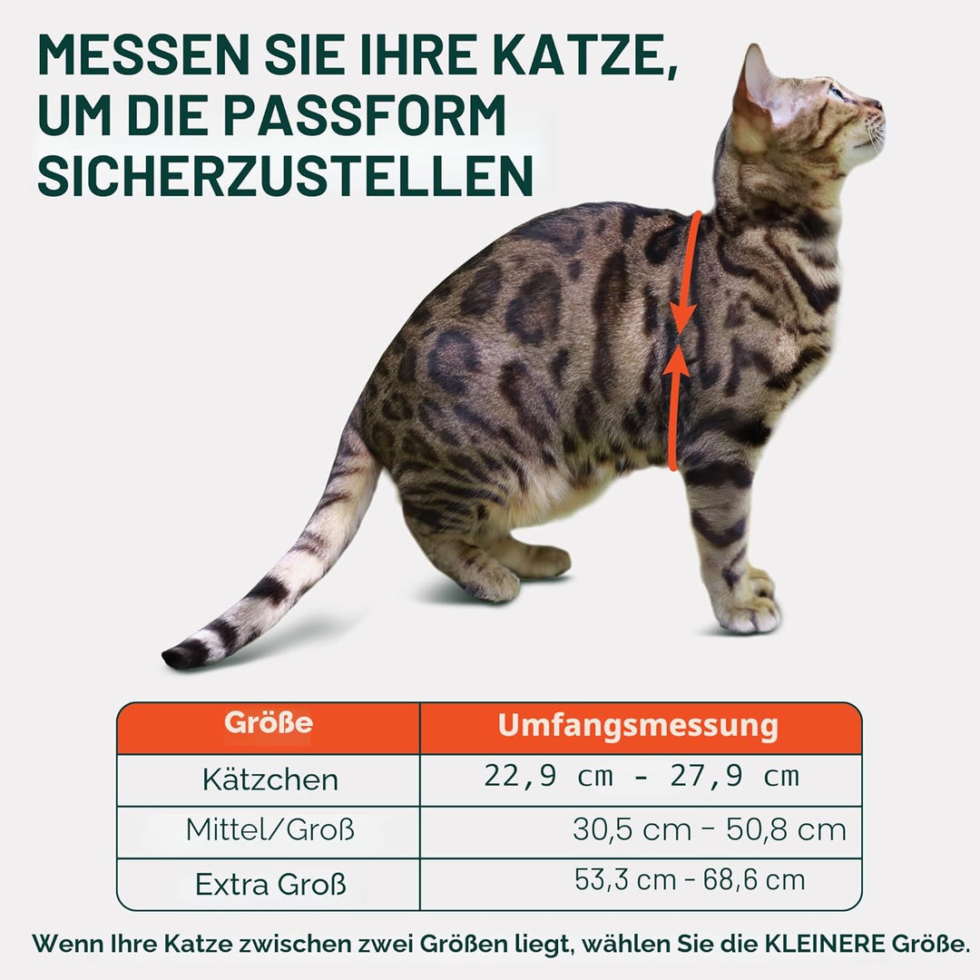 OutdoorBengal Katzengeschirr und Leine, gross, ausbruchsicher, erstickungsfrei, leicht, einfach anzu