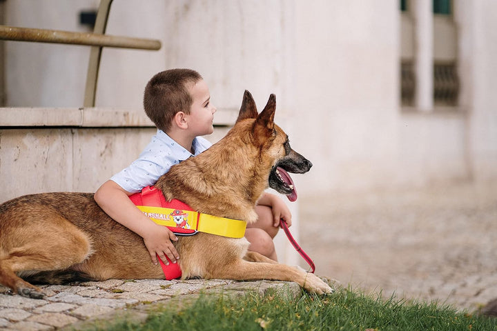 JK9 Paw Patrol Hundegeschirr, Grösse: M/0, Marshall Marshall M/0, Marshall M/0
