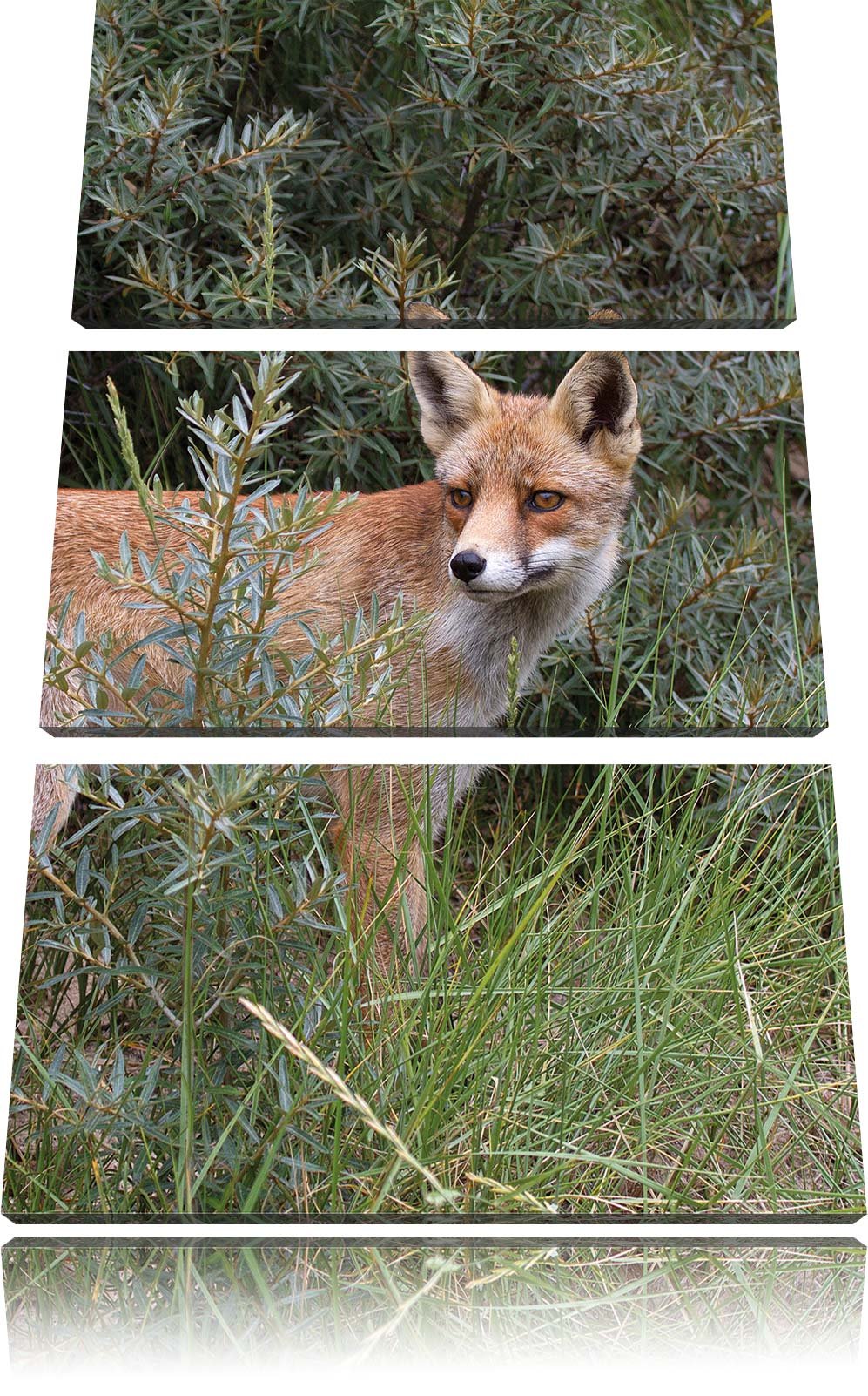 Pixxprint listiger Fuchs im Wildstrauch 3-Teiler Leinwandbild 120x80 Bild auf Leinwand, riesige Bild