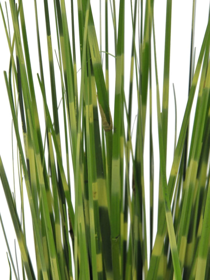 artplants.de Künstliches Zebragras Zavian, grün-gelb, 90cm - Zebragras künstlich
