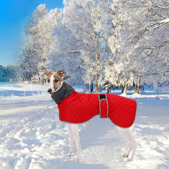 Geyecete Winter Hundemantel fur Windhunde,Warm Hundejacke mit Fleecefutter,wasserdicht,Winddicht,Ver