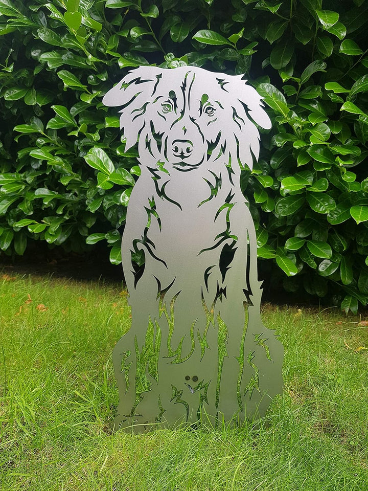 Australien Shepherd Metallfigur Gartenstecker Deko Höhe ca. 70 cm Rostfigur Gartenstecker Rostdeko