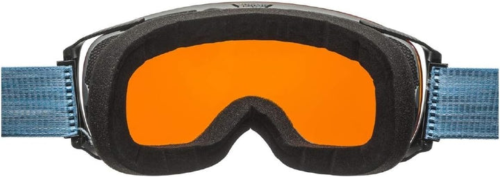 ALPINA Unisex Skibrille Skibrille (1er Pack) Einheitsgrösse grey-skyblue, Einheitsgrösse grey-skyblu