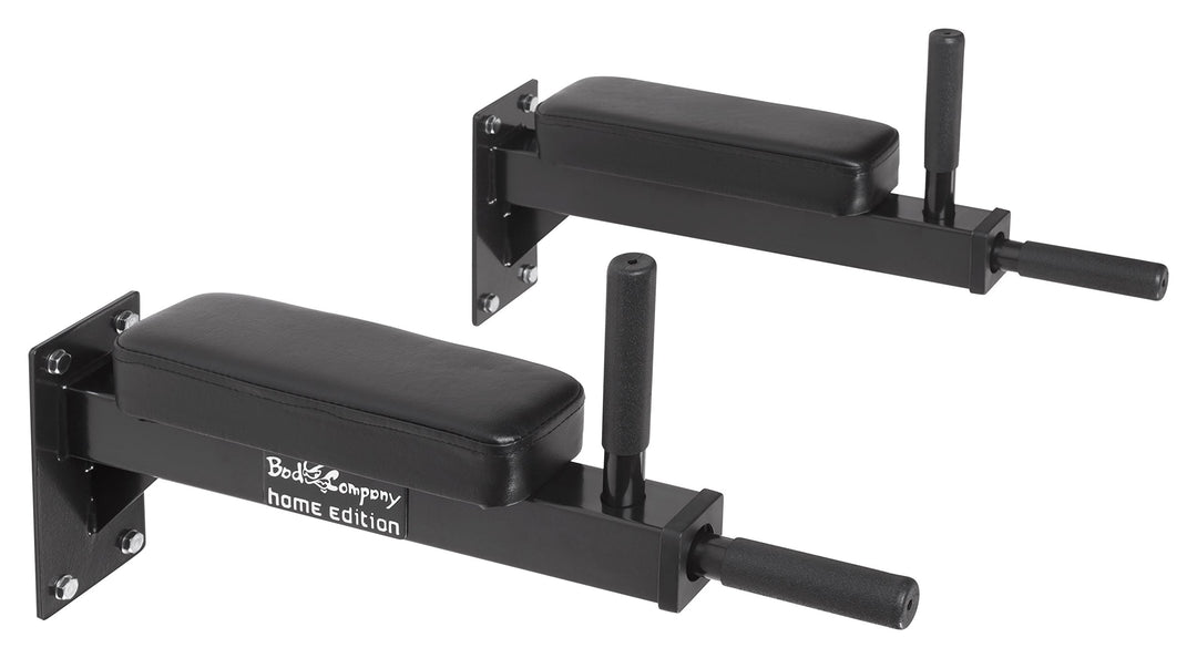 Bad Company Dip-Station zur Wandmontage I Dips-Barren zur Anbringung an der Wand für das Homegym I P