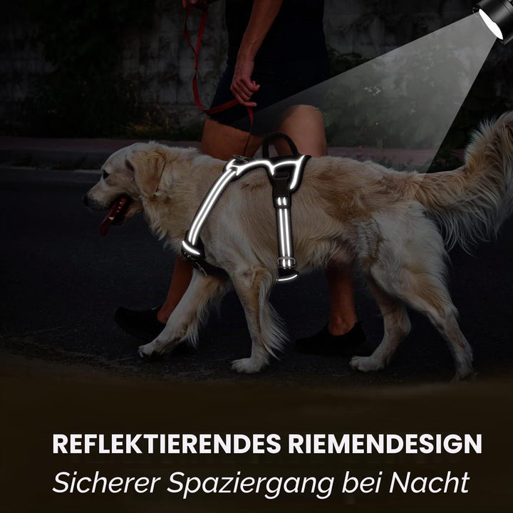 Eyein Hundegeschirr für Mittelgrosser Hunde, verstellbares atmungsaktives reflektierend, gepolstert