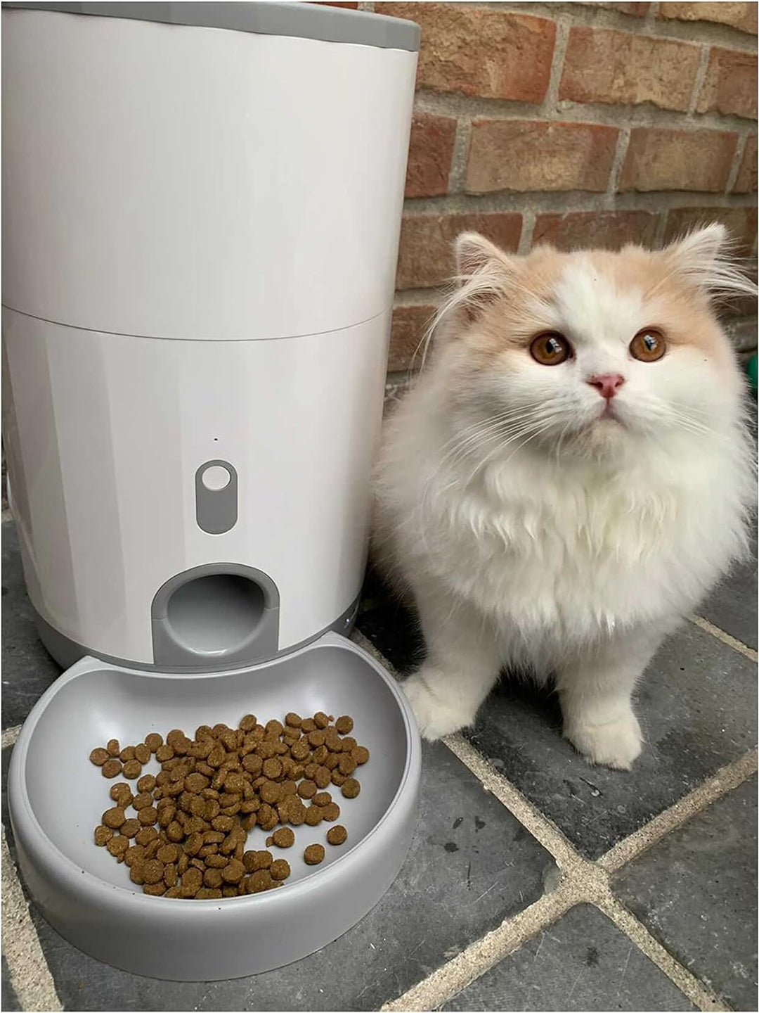Pettadore Nutri Fresh - Futterautomat Katze/Hund - Smart und frisch mit Siegel, Automatischer Futter