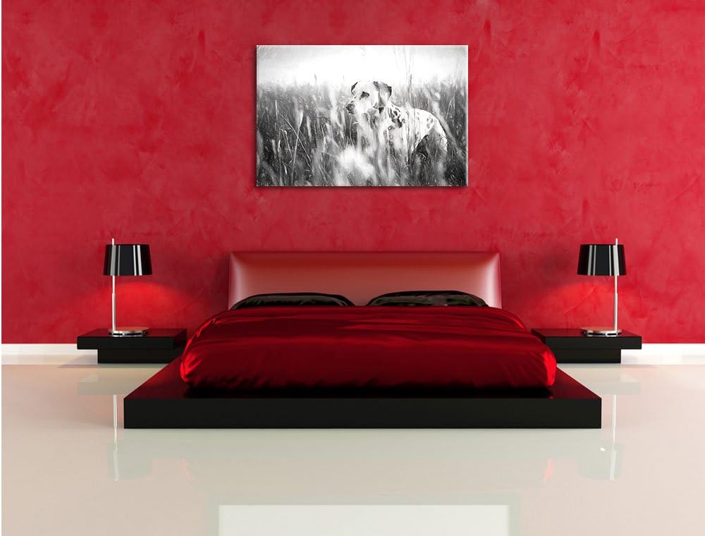 Pixxprint Neugieriger Hund im Feld Kunst als Leinwandbild/Grösse: 100x70 / Wandbild/Kunstdruck/ferti