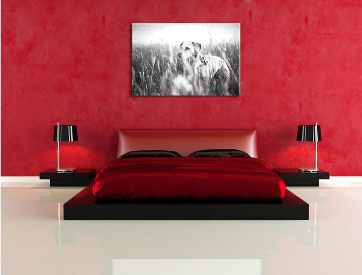 Pixxprint Neugieriger Hund im Feld Kunst als Leinwandbild/Grösse: 100x70 / Wandbild/Kunstdruck/ferti