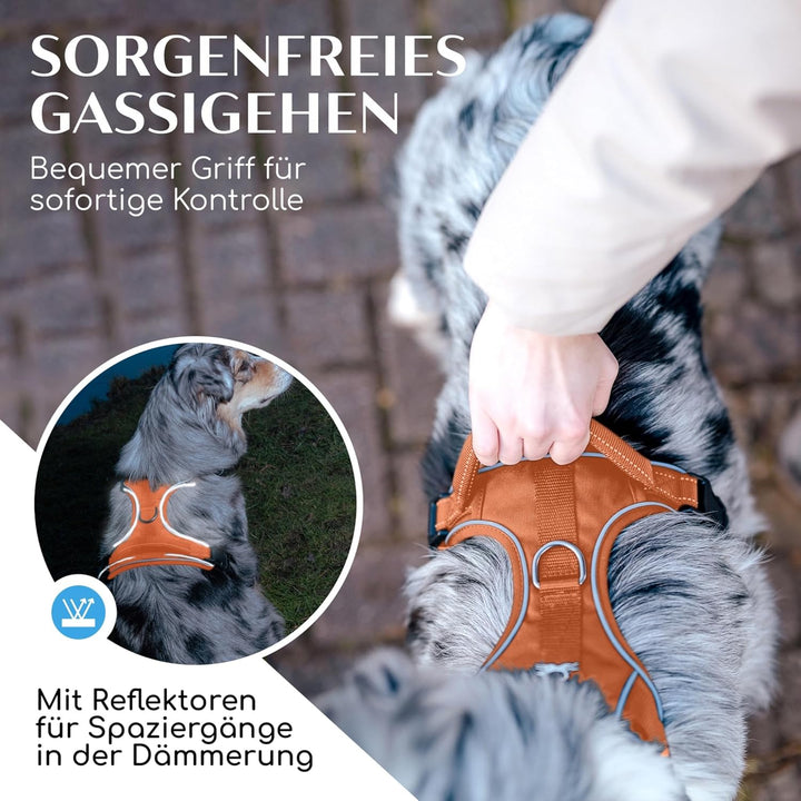 FREUDENTIER Hundegeschirr mit Mesh-Polsterung - Höchster Komfort, bombenfester Sitz &amp; maximale Siche