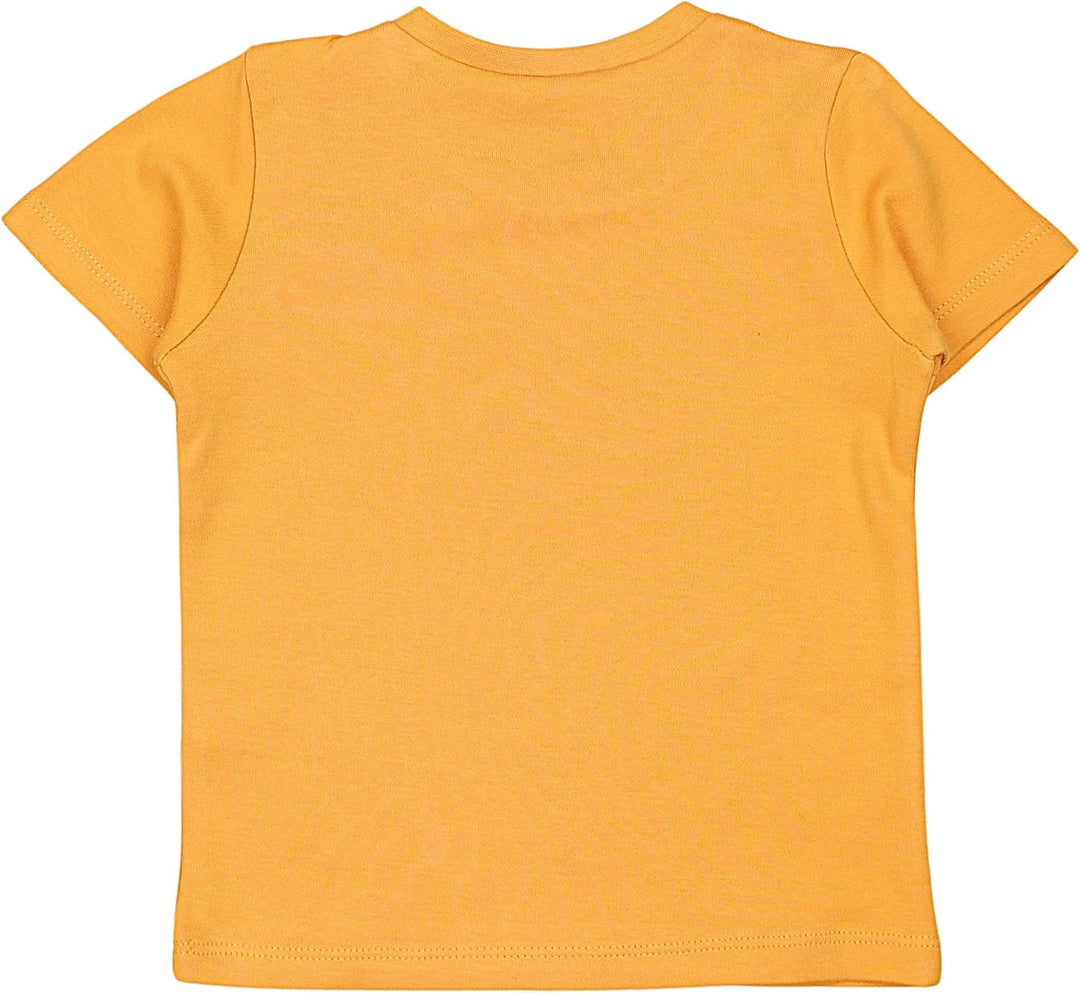 TupTam Baby Jungen Kurzarm T-Shirt mit Aufdruck Unifarben Sterne Streifen 5er Set 80 Löwe Krokodil B