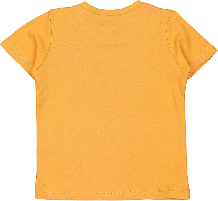 TupTam Baby Jungen Kurzarm T-Shirt mit Aufdruck Unifarben Sterne Streifen 5er Set 80 Löwe Krokodil B