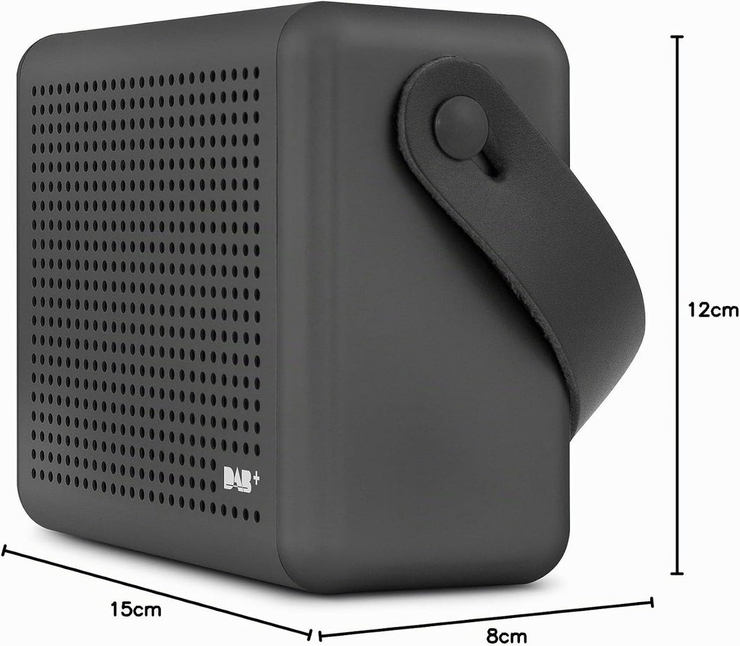 Nordmende Transita 110 – Tragbares DAB+ &amp; UKW Digitalradio – Portable Musikbox mit OLED-Display – Ou