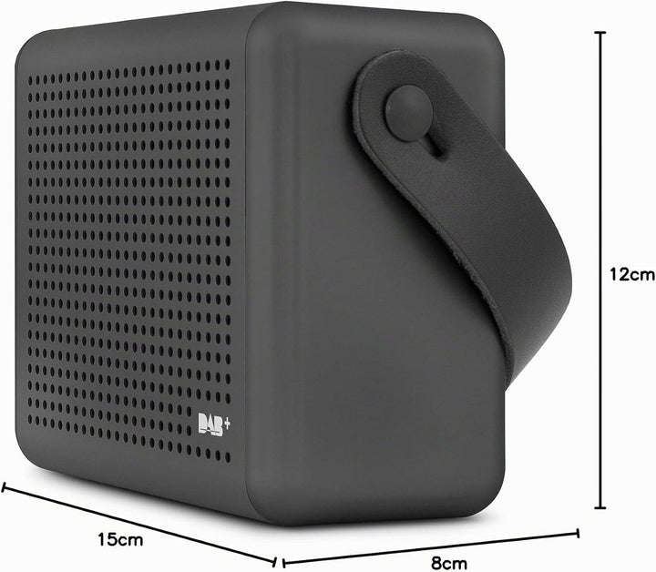 Nordmende Transita 110 – Tragbares DAB+ &amp; UKW Digitalradio – Portable Musikbox mit OLED-Display – Ou