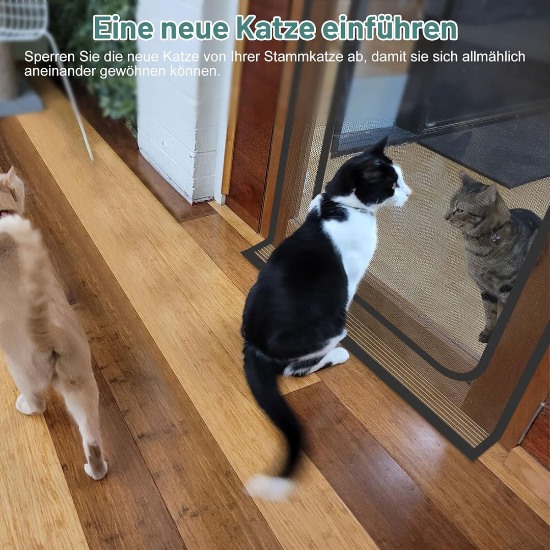 Katzen-Fliegengittertür mit Reissverschluss, Masse: 141cm x 244cm | Neue Katzen vorstellen, Katzen i