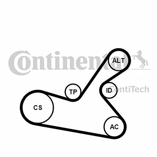 Contitech 6PK1125K1 Keilriemen, mehrfarbig