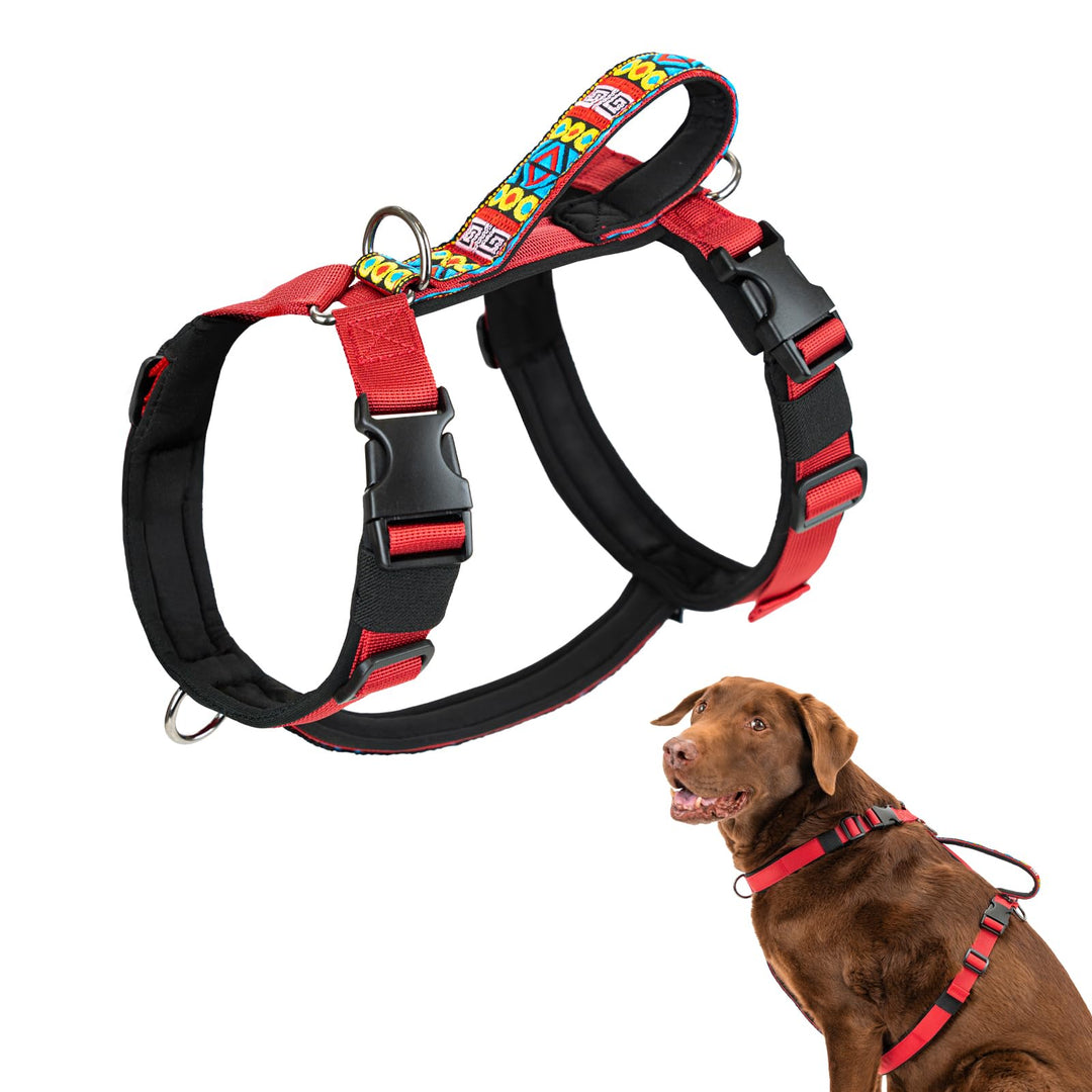 Arblina Hundegeschirr, Ausbruchsicheres Antizuggeschirr für Kleine, Mittlere und Grosse Hunde, Hunde