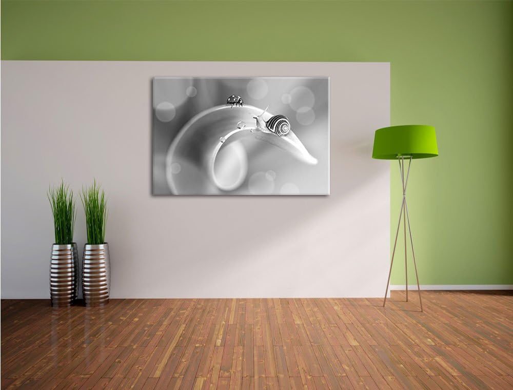 Pixxprint eine Schnecke und Marienkäfer auf Einer Pflanze Kunst B&W, Format: 100x70 auf Leinwand, ri