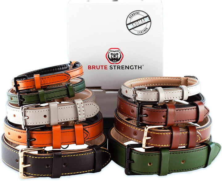 Brute Strength Hundehalsband aus Leder - Hellgrau - XL - 56-63 cm XL - 56-63 cm Hellgrau, XL - 56-63