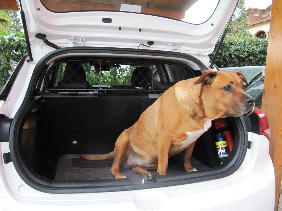 ERGOTECH Trennnetz Trenngitter kompatibel mit Hyundai i20 (2014-2020), RDA65-XXS8, für Hunde und Gep