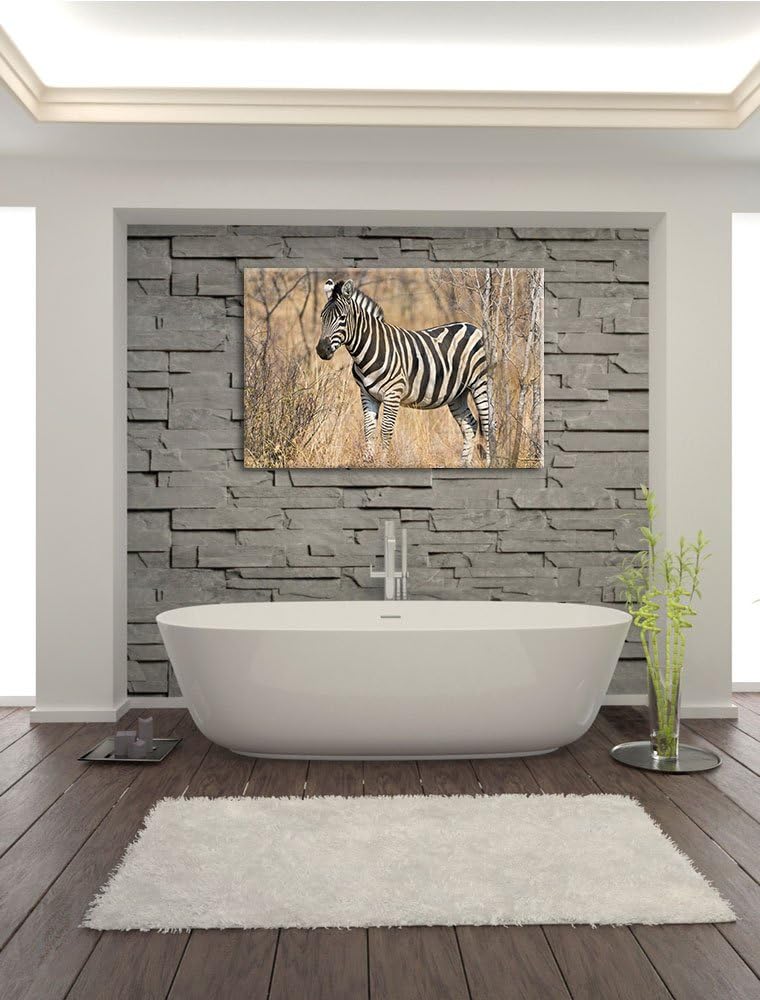 Pixxprint einsames Zebra auf Leinwand, XXL riesige Bilder fertig gerahmt mit Keilrahmen, Kunstdruck
