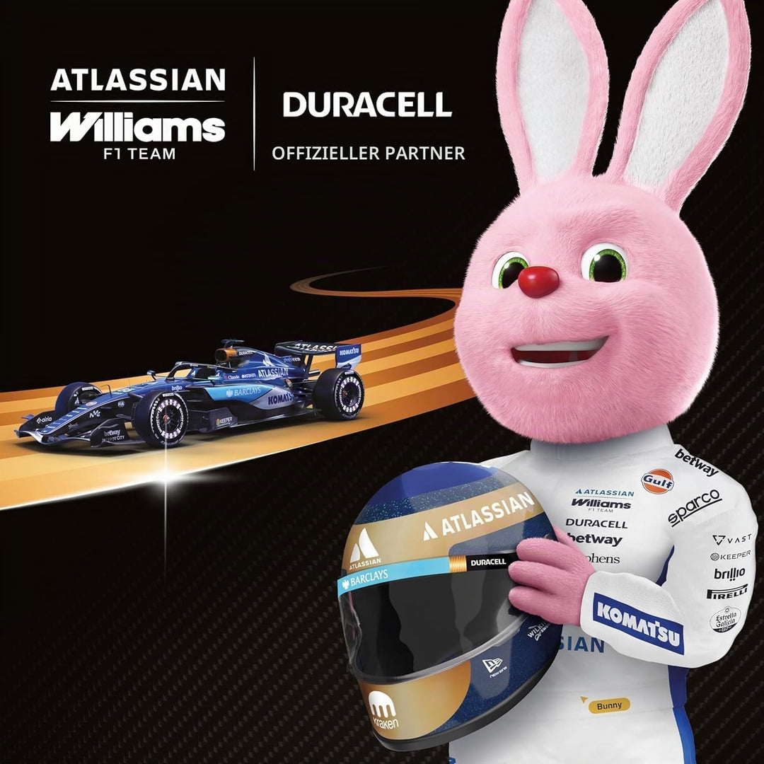 DURACELL Plus AAA-Batterien (24er-Pack) – Alkaline-Batterien 1,5 V AAA Pack of 24, AAA Pack of 24