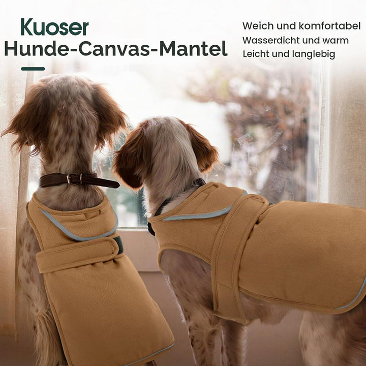 Kuoser Wasserdicht Hundemantel Hundejacke für Kleine Mittelgrosse Hunde, Reflektierende Leinwand Win