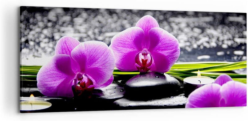 Wandbilder Dekoration Wohnzimmer Orchidee Natur Wasser Blume Panorama Bilder auf Leinwand 120x50cm L