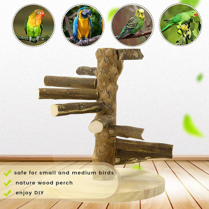 Wellensittich Spielplatz Vogel-Spielplatz für Nymphensittich Papageien Wellensittiche, Holz, Grösse