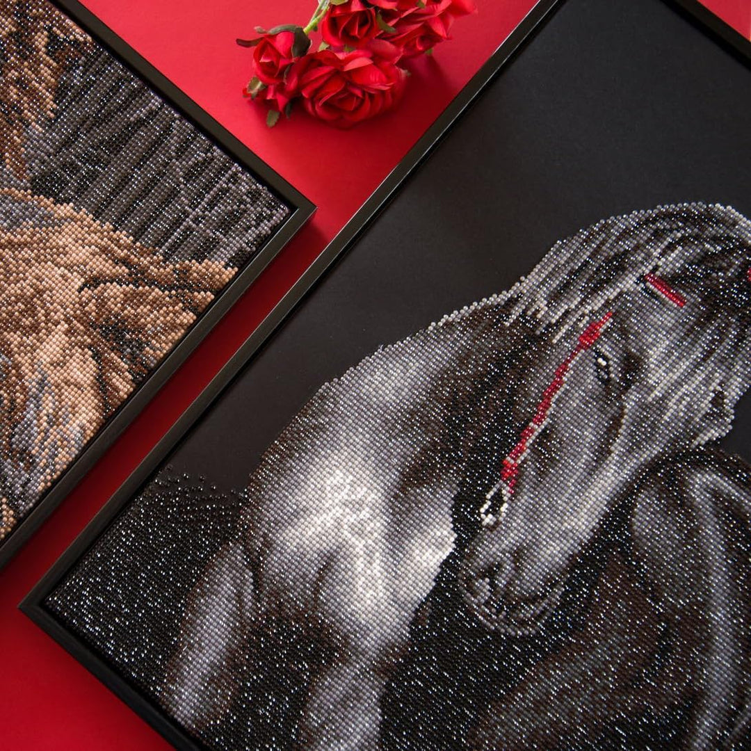 DIAMOND DOTZ DD10.012 - Original 5D Diamond Painting Set Schwarzes Pferd, Kreativset mit 16.797 Diam