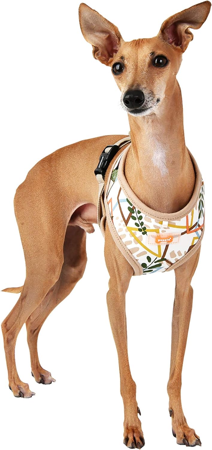 Botanical Harness A, Farbe: Beige, Grösse: XL Beige Extra Large, Beige Extra Large