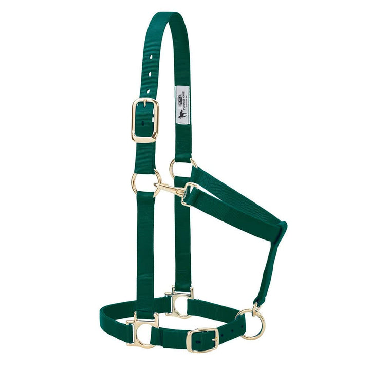 Weaver Leather Basic verstellbares Halfter hunter green Average Horse, hunter green Average Horse