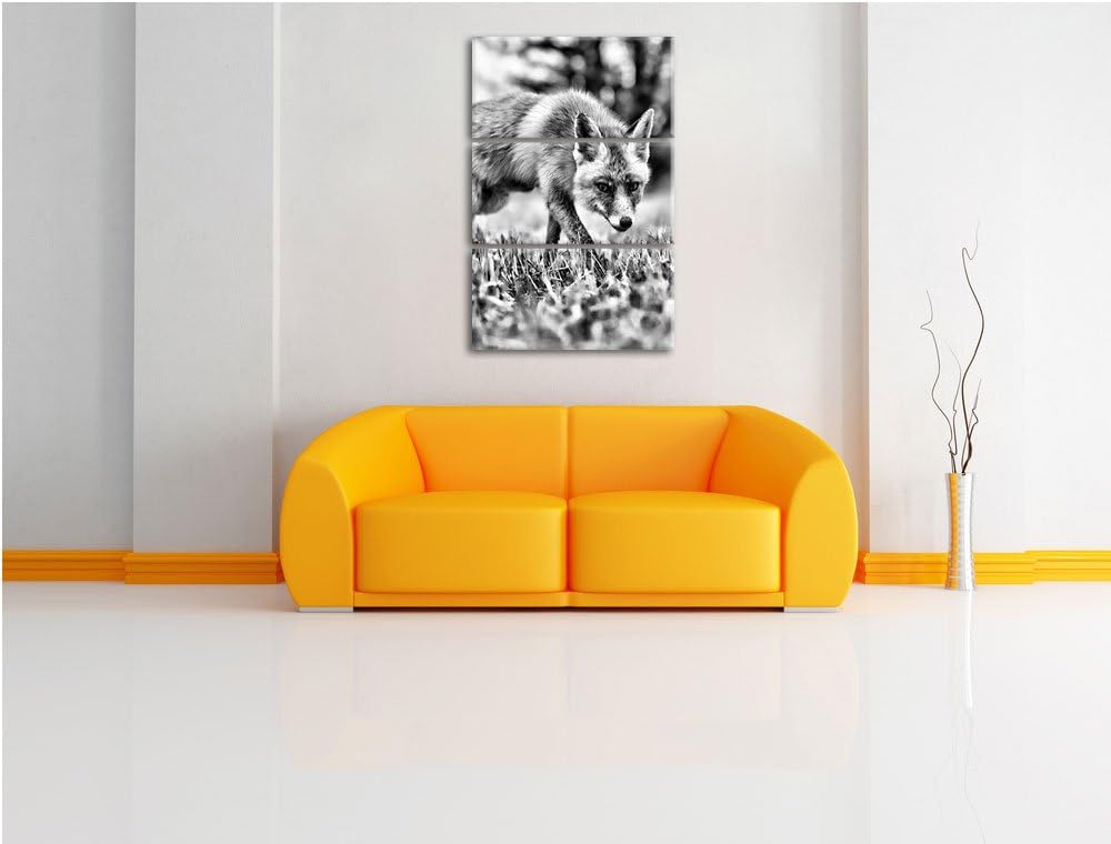 Pixxprint Schöner Fuchs als Leinwandbild/Grösse: 3 Teilig (120x80) cm/Wandbild/Kunstdruck/fertig bes