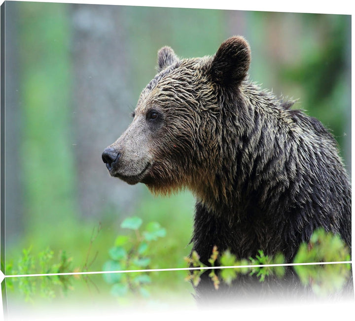 Pixxprint Kleiner Bär Format: 100x70 auf Leinwand, XXL riesige Bilder fertig gerahmt mit Keilrahmen,