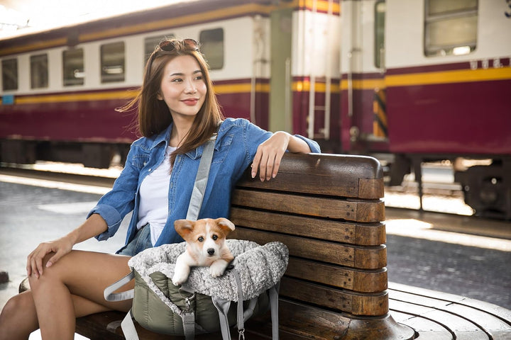 Hundetragetasche, Vertellbar, Schultergurt, Haustiertragetasche, Transport, Katzentasche, Reisetasch