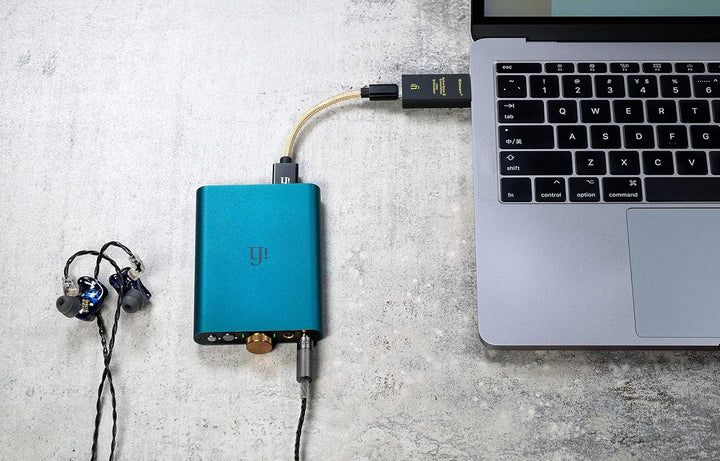 iFi iSilencer+ USB-Audiogeräuschunterdrücker/Unterdrücker/Adapter - System-Upgrade (Typ C bis C) iSi