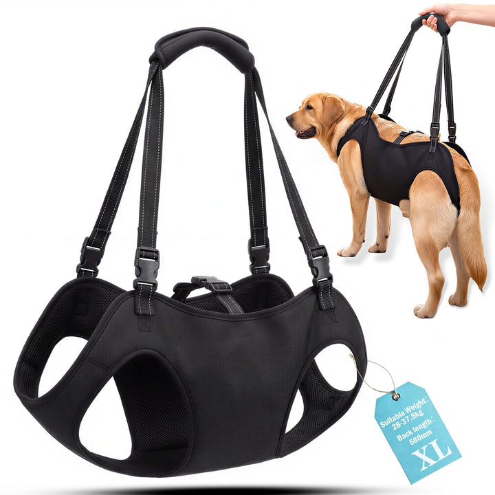 Tragehilfe Hund Hundegeschirr Hunde Tragehilfe für Grosse - XL | Hunde Tragehilfe für Mittelgrosse G