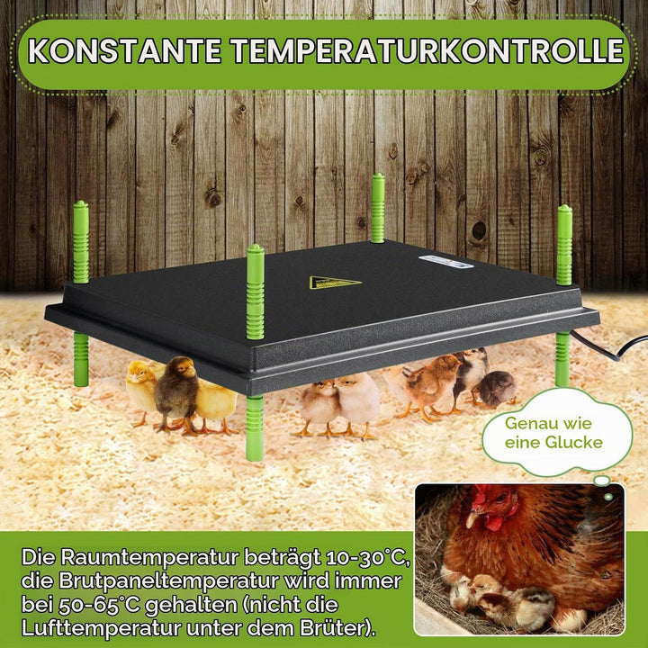 Plotohiker Wärmeplatte Küken,Kükenwärmer Wärmelampe,Heizplatte für Kükenaufzucht,Kunstglucke 40 x 55