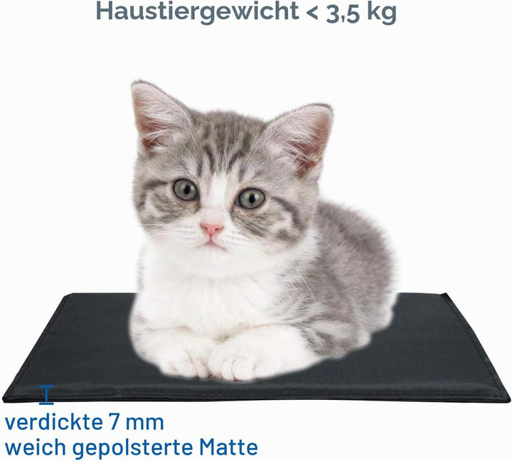 Haustier Reise Tragetasche für Katze Hund Kaninchen Hamster, Flugzeug Genehmigt Weich Seitlich Tragb