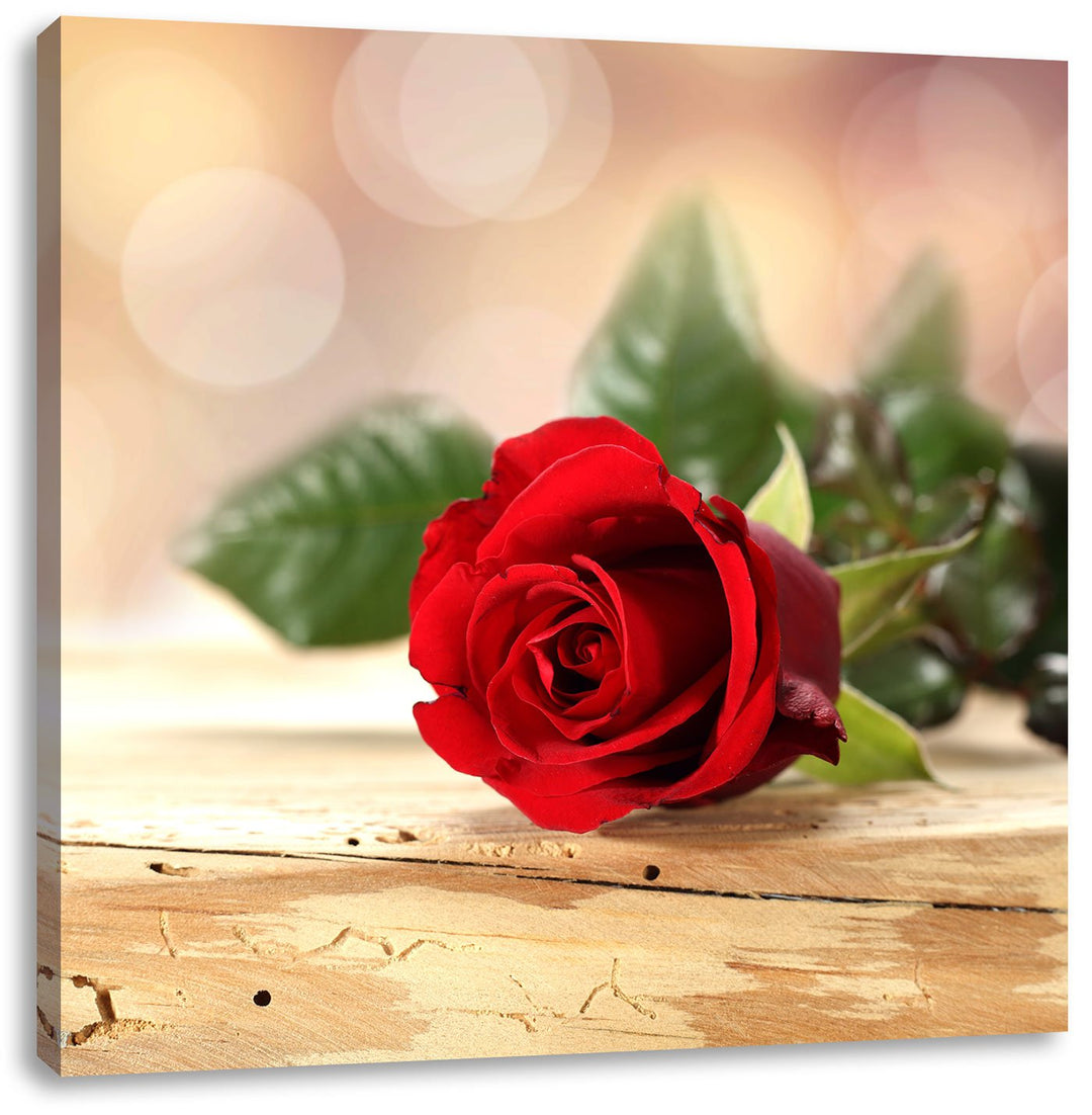 Pixxprint Rose auf Holztisch als Leinwandbild Quadratisch/Grösse: 70x70 / Wandbild/Kunstdruck/fertig