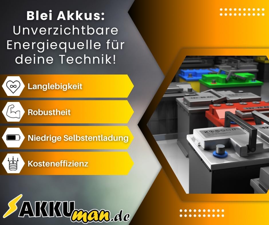 2X AGM 12V / 50Ah Blei-Akku - REC50-12I Zyklenfest kompatibel MP50-12C, 12LCP-50, WP50-12NE AKKUman