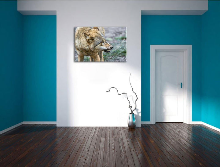 Pixxprint knurrender Wolf auf Leinwand, XXL riesige Bilder fertig gerahmt mit Keilrahmen, Kunstdruck