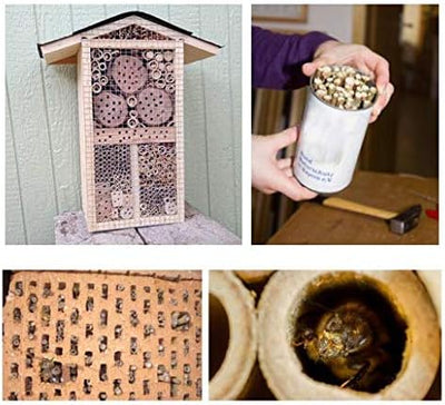 Super Idee 200 Stück 10cm Länge Bambusröhrchen Füllmaterial Insektenhotel Inhalt im Winter Wildbiene