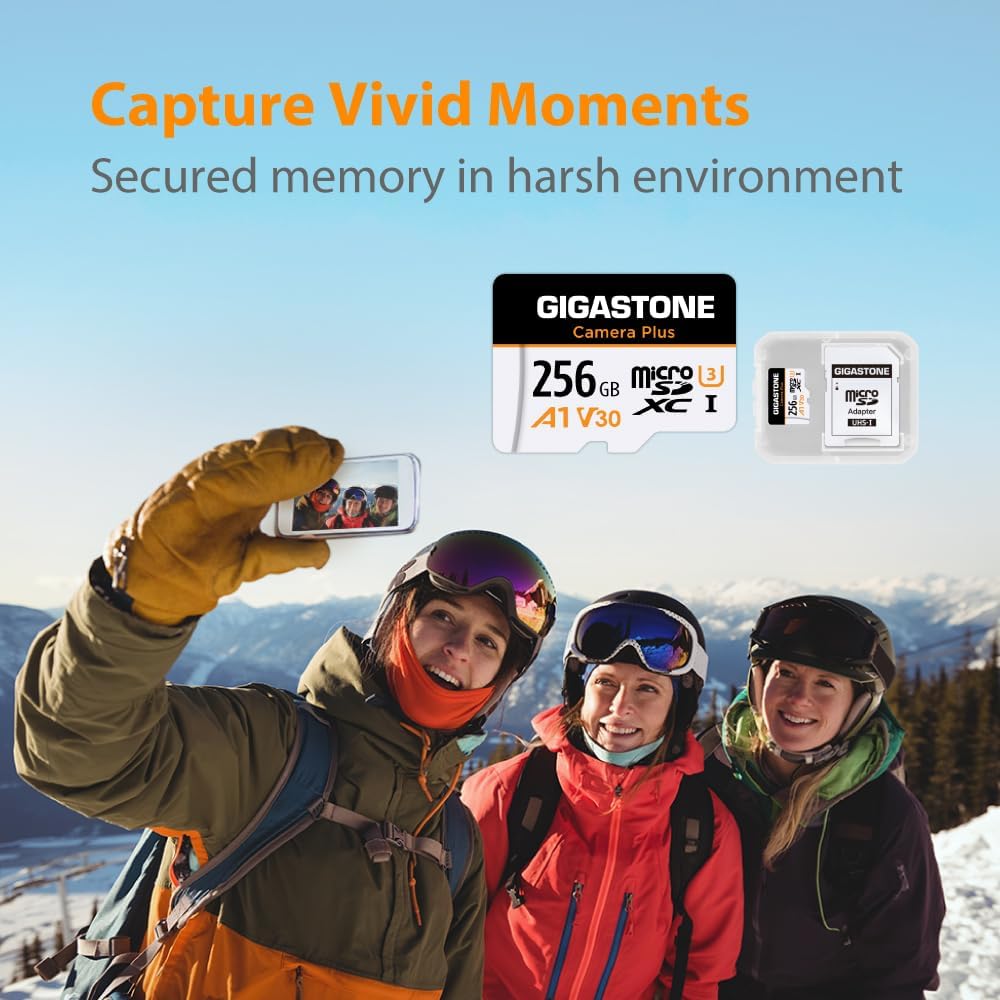 [GIGASTONE] Micro-SD-Karte, 256GB, Kamera Plus, Action-Kamera, Sportkamera, hohe Geschwindigkeit 100