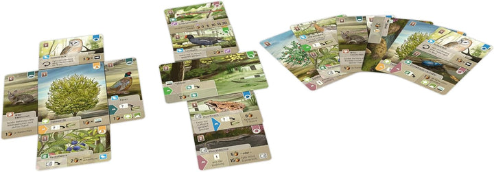 Lookout, Mischwald: Dartmoor, Grundspiel, Familienspiel, Kartenspiel, 2-5 Spieler, ab 10+ Jahren, 60